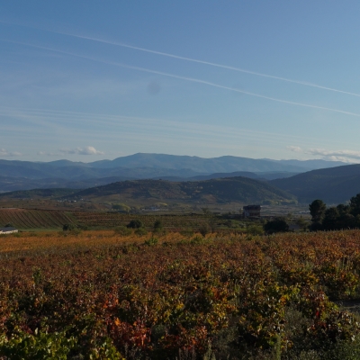 Conocimientos y usos relacionados con la naturaleza y el universo